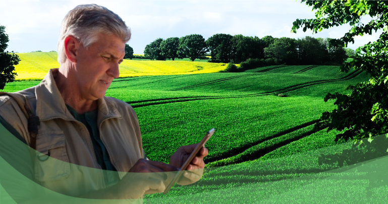 Mapa de soluções GRWsis